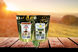 Aleppo & Jerusalem Bundle 16 OZ Each